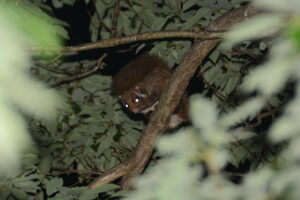 新たな自然との出会いの場　Encounters with Nature　（5/20）