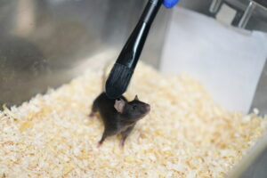 新たな自然との出会いの場　Encounters with Nature　（6/17）