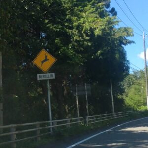 新たな自然との出会いの場　Encounters with Nature　（10/28）