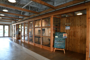 ブリコラ　11月の開館情報