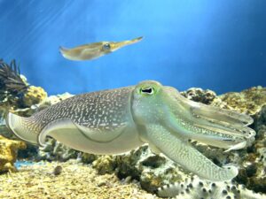 新たな自然との出会いの場　Encounters with Nature　（6/23）