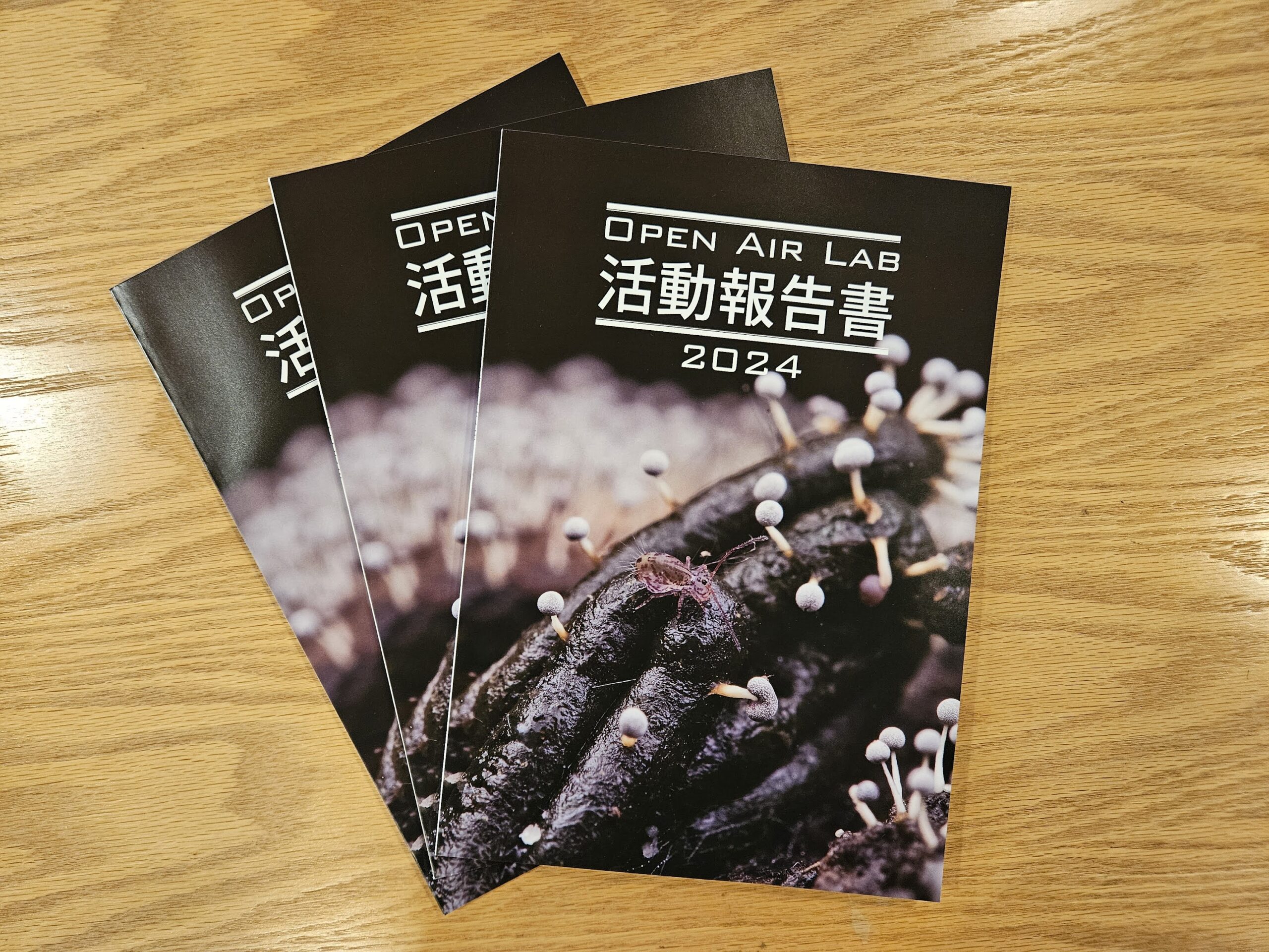 OPEN AIR LAB活動報告書2024(デジタル書籍版)を公開しました