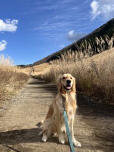 新たな自然との出会いの場 Encounters with Nature (10/30)